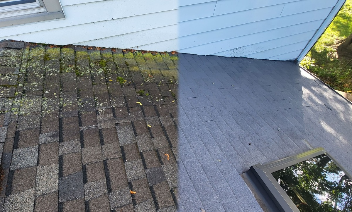 Roof Photo