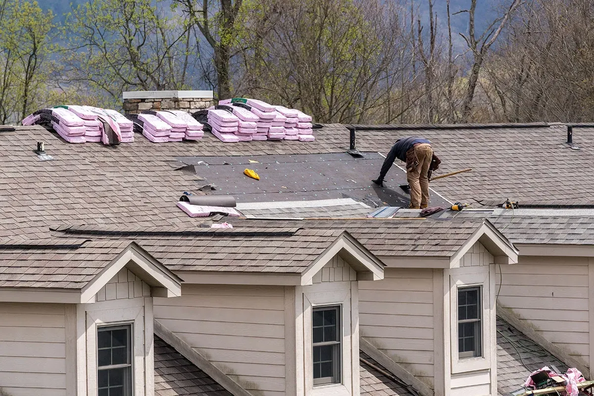 Roof Photo