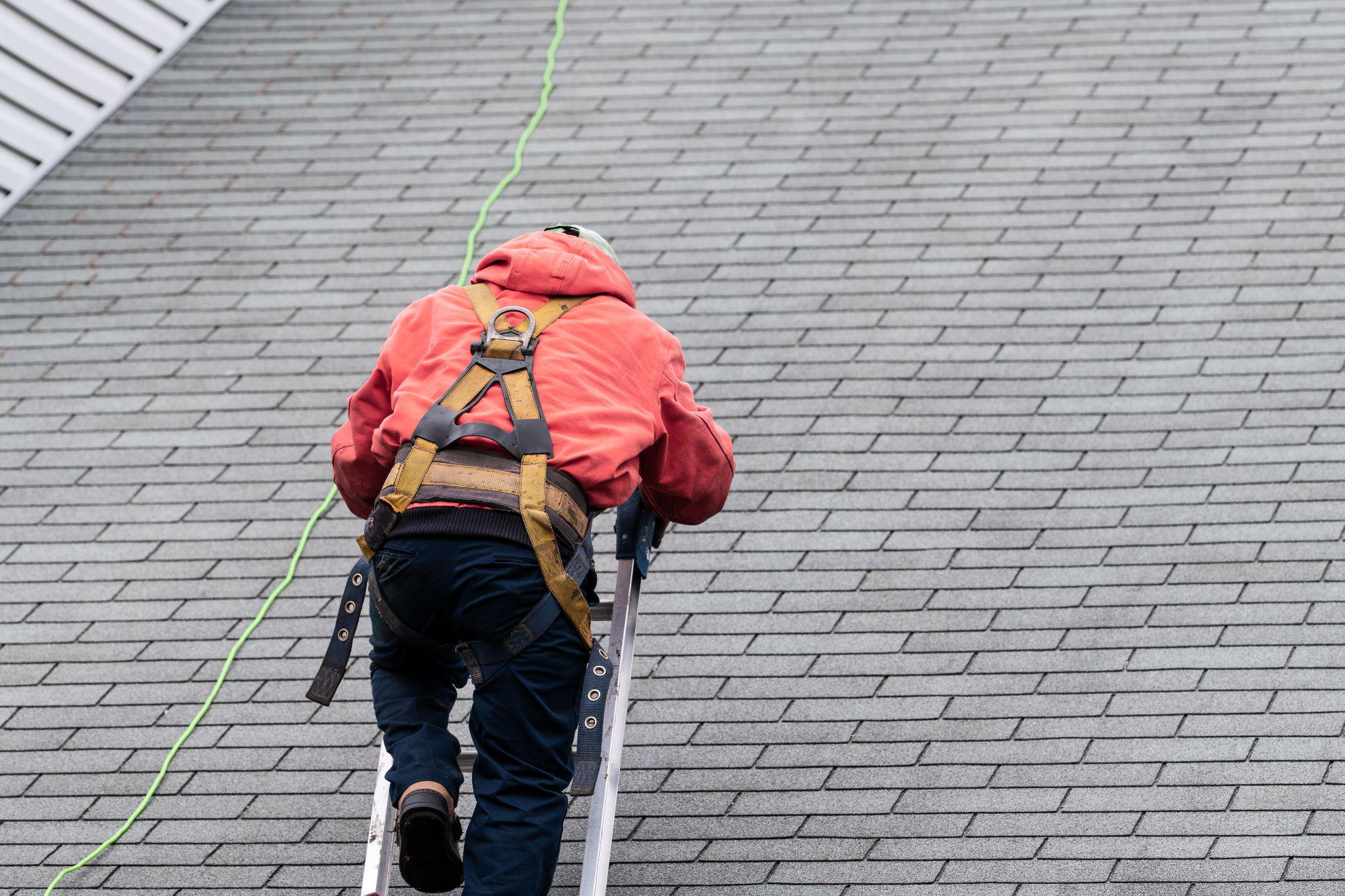 Employee climbing ladder onto a roof