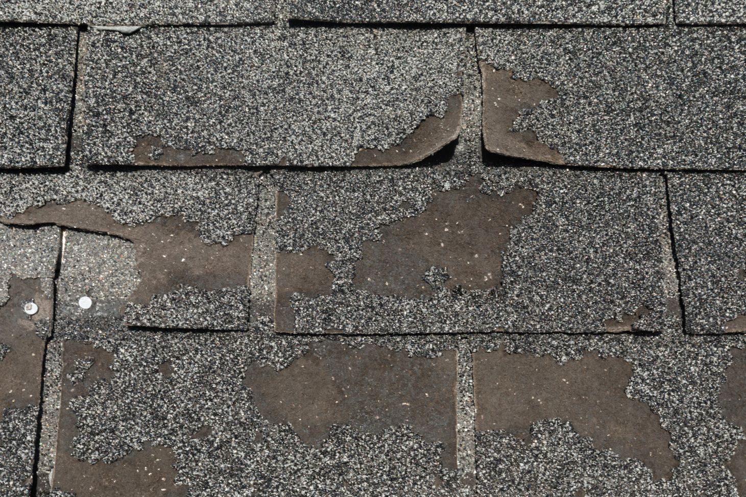 How to Protect Your Roof from Sun Damage