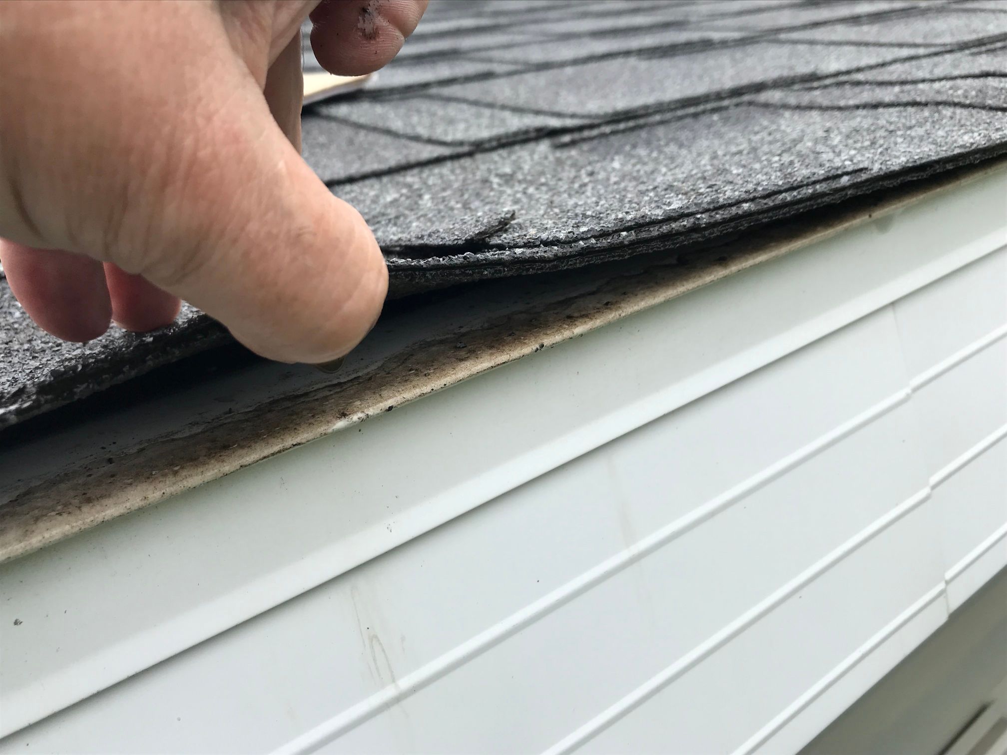 Checking roof for gutter leaks