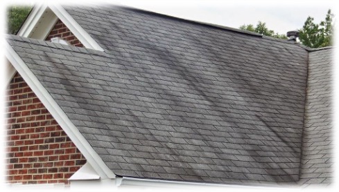 Top Five Roofing Tips to Keep Your Roof Free from Algae and Mold